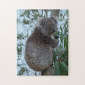 Australien Kangaroo Island Koala Tree, 252 Stück Puzzle (Vertikal)