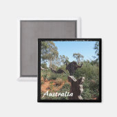 Australien - Kangaroo (Magnet) Magnet (Vorderseite/Rückseite)