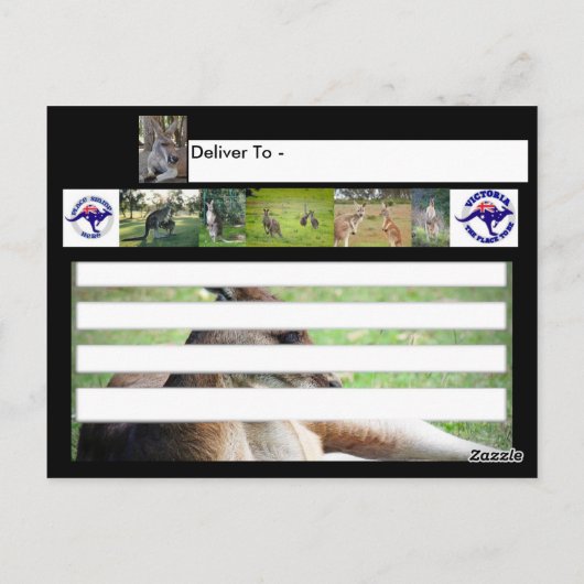 Australien Kangaroo Postcard Postkarte (Rückseite)