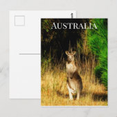 Australien Kangaroo Postkarte (Vorne/Hinten)