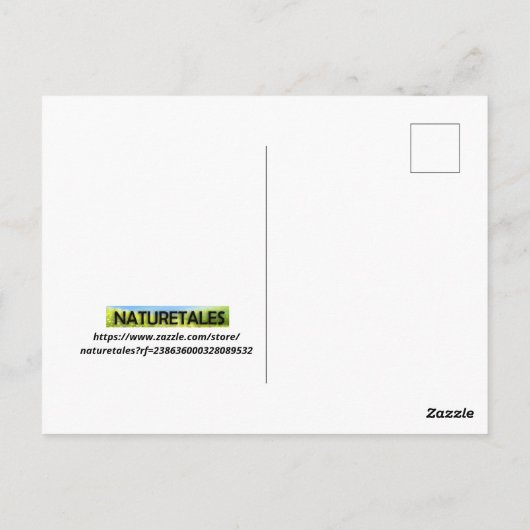 Australien Kangaroo Postkarte (Rückseite)