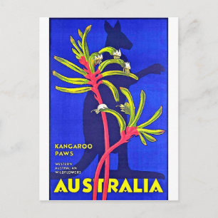 Australien, Känguru, australische Wildblumen Postkarte