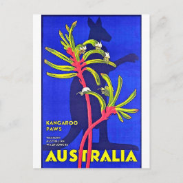 Australien, Känguru, australische Wildblumen Postkarte