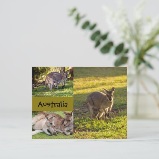 Australien: Kängurus, Mütter und Freuden Postkarte (Stehend Vorderseite)