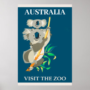 Australien Koala Bär Besuch Im Zoo Vintage Reise Poster