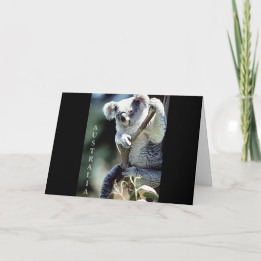 Australien Koala Bear Karte (Vorderseite)