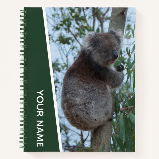 Australien Koala in einem Eukalyptusbaum essen, gr Notizblock (Vorderseite)