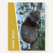 Australien Koala in einem Eukalyptusbaum, Gold Notizblock (Vorderseite)