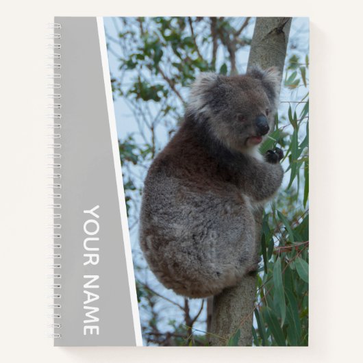 Australien Koala in einem Eukalyptusbaum, Silber Notizblock (Vorderseite)