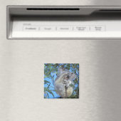 Australien, Koala Phasclarctos Cinereus) Magnet (In Situ (Geschirrspüler))