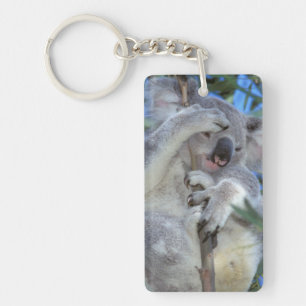 Australien, Koala Phasclarctos Cinereus) Schlüsselanhänger