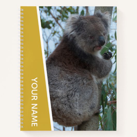 Australien Koala Portrait Foto, Gold Notizblock (Vorderseite)