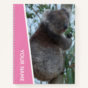 Australien Koala Portrait Foto, Pink Girls Notizblock
