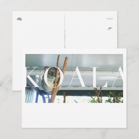 Australien Koala Post Card Postkarte (Vorne/Hinten)