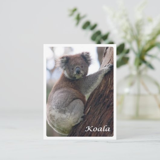 Australien - Koala - Postkarte (Stehend Vorderseite)