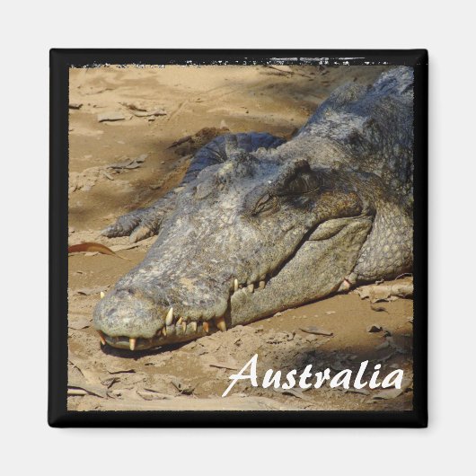 Australien, Krokodil, Bush (Magnet) Magnet (Vorne)