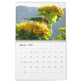 Australien Landschaftlicher Kalender 2021 (Feb 2027)