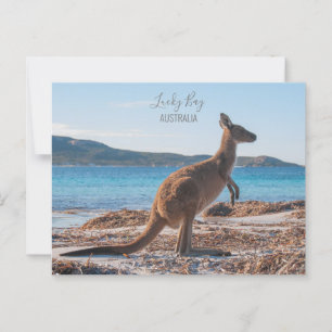 Australien Lucky Bay Kangaroo auf dem Beach Foto Postkarte