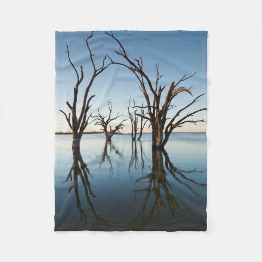Australien, Murray River Valley, Barmera, Lake Fleecedecke (Vorderseite)
