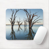 Australien, Murray River Valley, Barmera, Lake Mousepad (Mit Mouse)