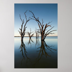 Australien, Murray River Valley, Barmera, Lake Poster