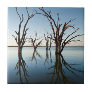 Australien, Murray River Valley, Barmera, See Fliese