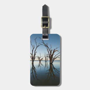 Australien, Murray River Valley, Barmera, See Gepäckanhänger
