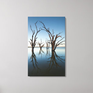 Australien, Murray River Valley, Barmera, See Leinwanddruck
