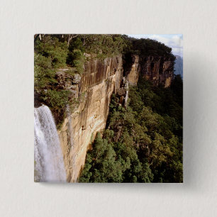 Australien, New South Wales, Fitzroy Falls. Button