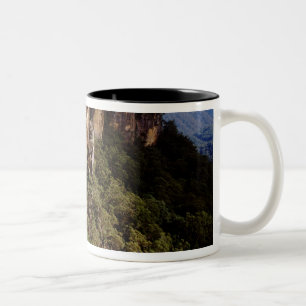 Australien, New South Wales, Fitzroy Falls. Zweifarbige Tasse