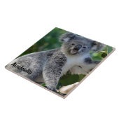 Australien: Niedliche kuschelige australische Koal Fliese (Seite)