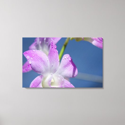 Australien, Nordterritorium, Darwin Leinwanddruck (Vorderseite)