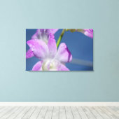 Australien, Nordterritorium, Darwin Leinwanddruck (Insitu (Holzboden))