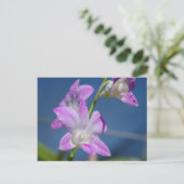 Australien, Nordterritorium, Darwin Postkarte (Stehend Vorderseite)