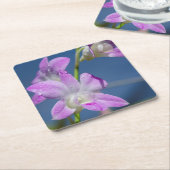 Australien, Nordterritorium, Darwin Rechteckiger Pappuntersetzer (angewinkelt)