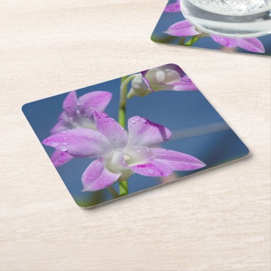 Australien, Nordterritorium, Darwin Rechteckiger Pappuntersetzer (angewinkelt)