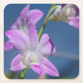 Australien, Nordterritorium, Darwin Rechteckiger Pappuntersetzer (Vorderseite)