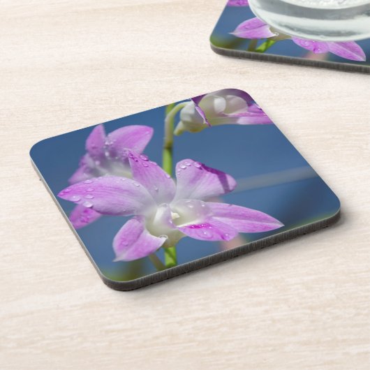 Australien, Nordterritorium, Darwin Untersetzer (Linke Seite)