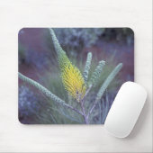 Australien, NT, in der Nähe von Ayers Rock. Spring Mousepad (Mit Mouse)