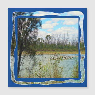 Australien Pelican Flock River Murray Magnetkarte