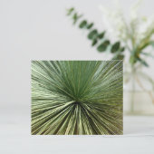 Australien Pflanze - abstrakt (Stehend Vorderseite)