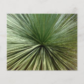 Australien Pflanze - abstrakt (Vorderseite)