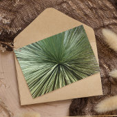 Australien Pflanze - abstrakt