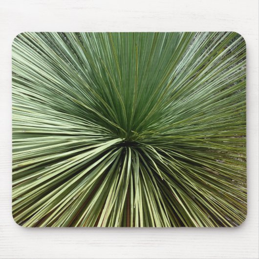 Australien Pflanze - abstrakt Mousepad (Vorne)