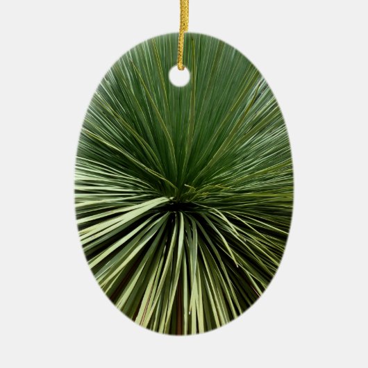 Australien Pflanze - abstrakte Keramik Ornament (Vorne)