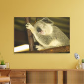 Australien, Queensland, Brisbane. Abb. Tree Leinwanddruck (Insitu (Wohnzimmer))