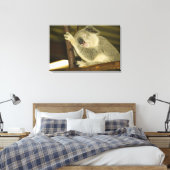 Australien, Queensland, Brisbane. Abb. Tree Leinwanddruck (Insitu (Schlafzimmer))