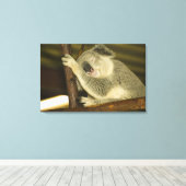 Australien, Queensland, Brisbane. Abb. Tree Leinwanddruck (Insitu (Holzboden))