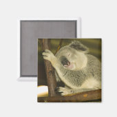 Australien, Queensland, Brisbane. Abb. Tree Magnet (Vorderseite/Rückseite)