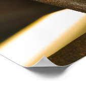 Australien, Queensland, Brisbane. Abb. Tree Poster (Ecke)